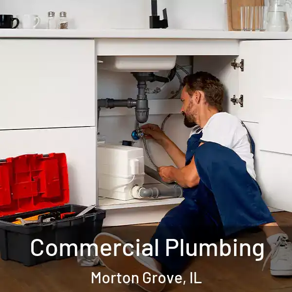  Commercial Plumbing Morton Grove, IL